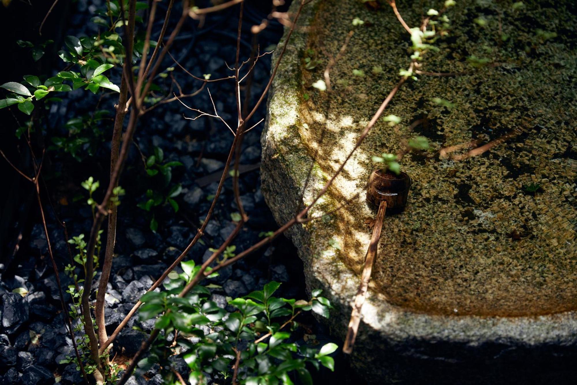 Yadoru Kyoto Hanare Mizunoe No Yado Buitenkant foto